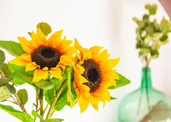 Сasa de vacaciones Casa Callejita Del Clavel